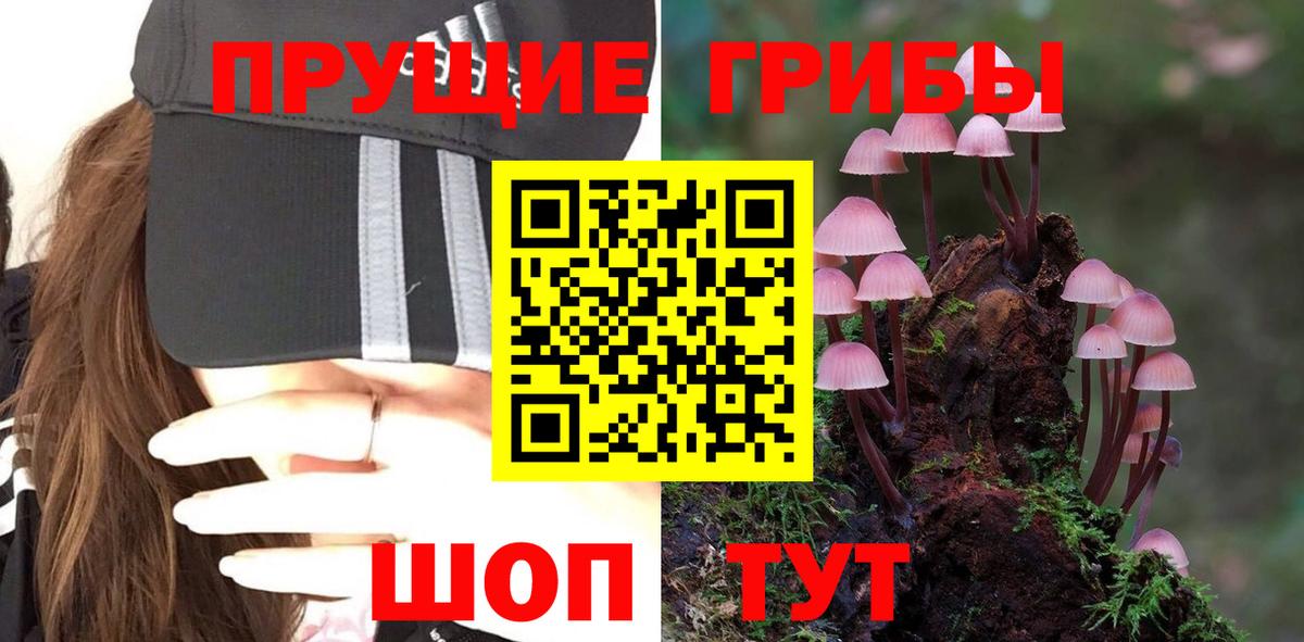 Псилоцибиновые грибы Psilocybe  Вход с VPN  Галлюциногенные грибы Psilocybe  Камень-на-Оби 